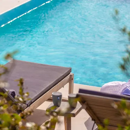 فيلة Francis بانورموس ميكونو